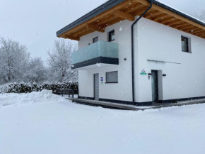 Apartments MountainView Maishofen